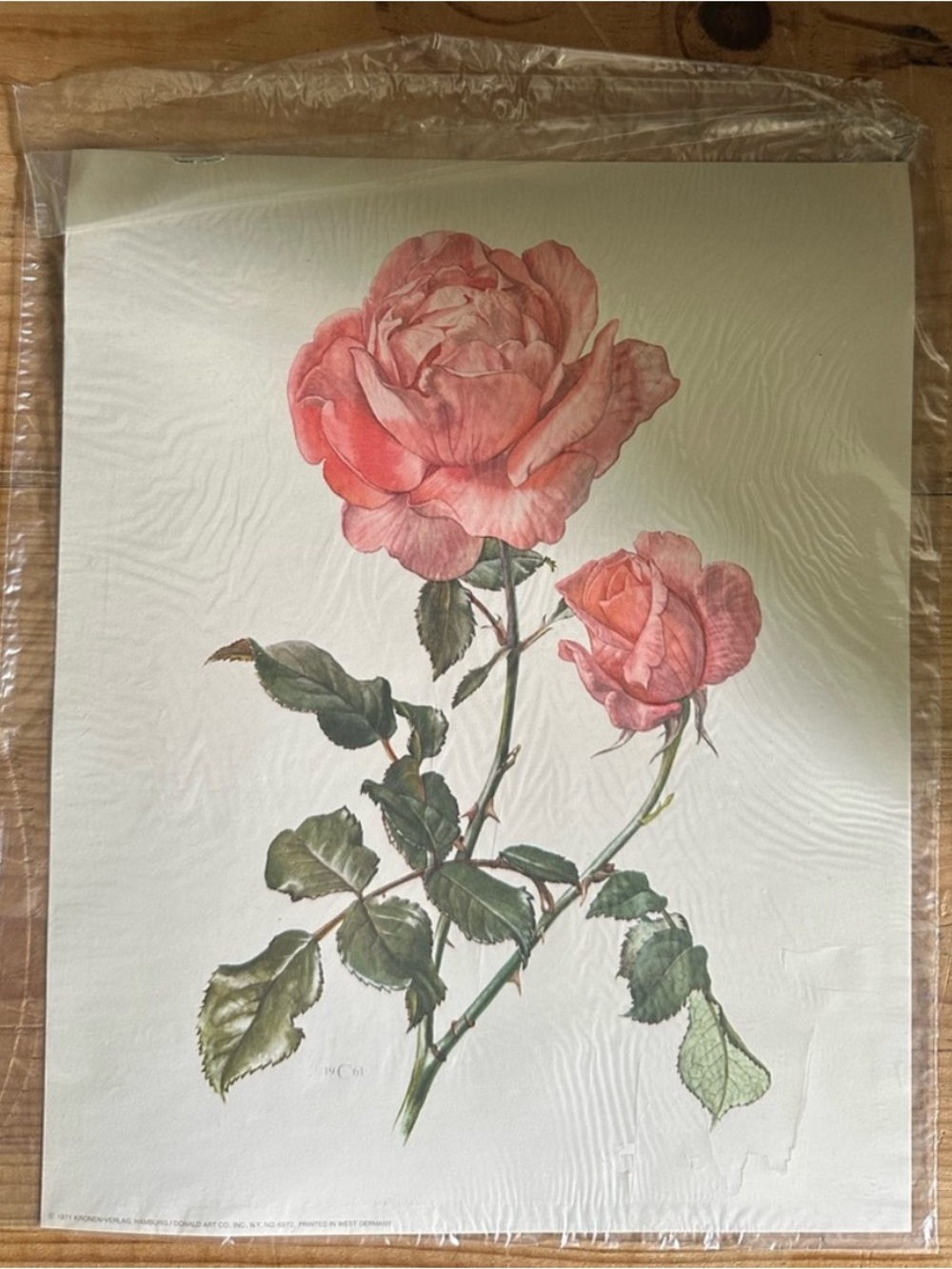 Vintage pink rose Print Kronen Verlag 1971 West Germany l